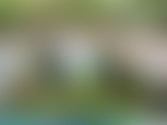 Arranca Sección 30 campaña de Siembra de Árboles