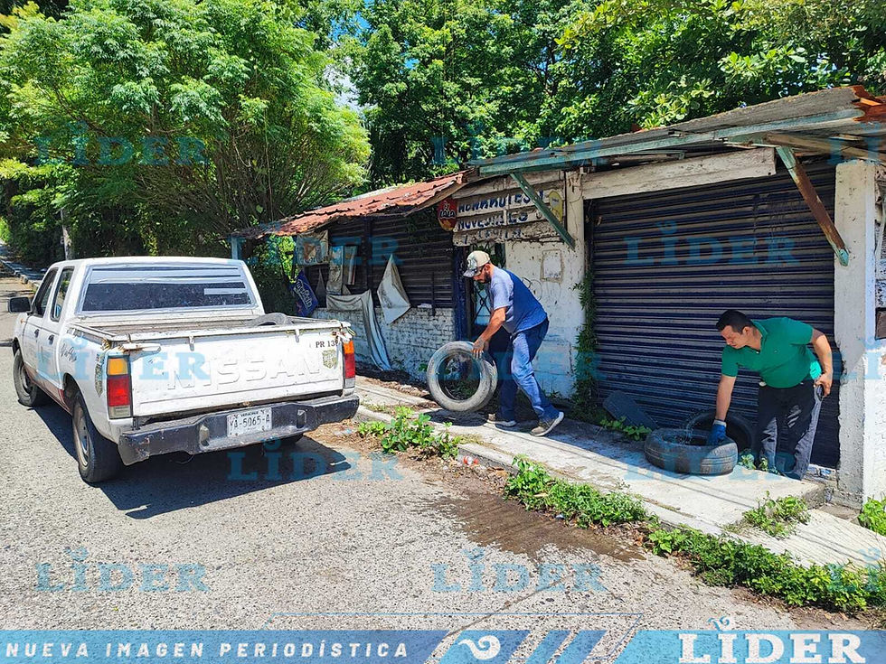 Exhortan a la población a destruir nidos del Aedes Aegypti