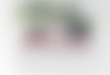 Poza Rica conmemora 74 años como municipio libre