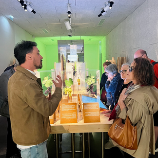 A young man is speaking to two women at a museum about champagne