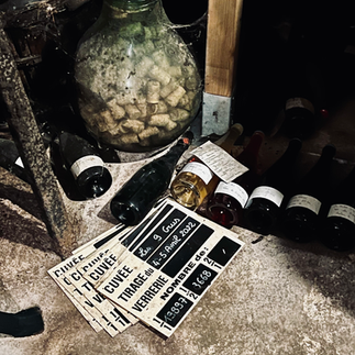 Champagne labels and corks