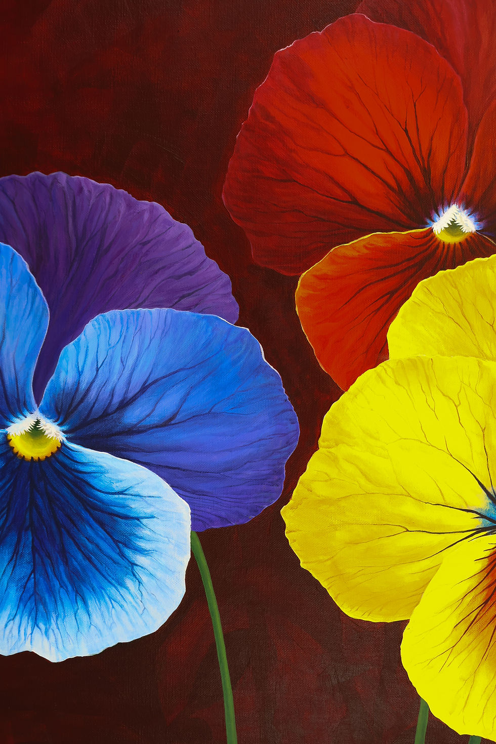 Thumbnail: Viola tricolor