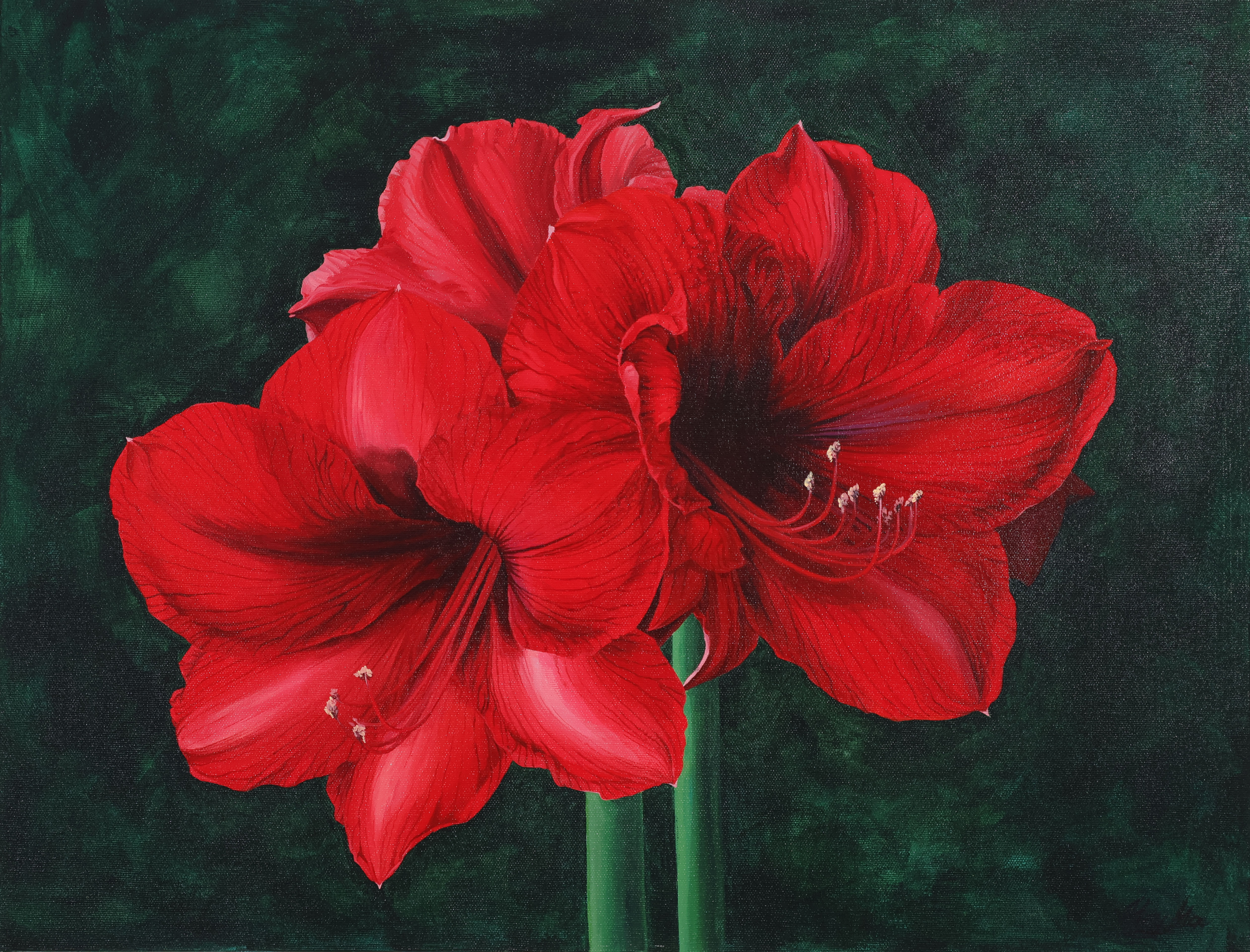 Crimson Elegance