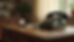 Eye-level view of a classic home landline phone on a wooden table