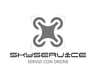Logo skyservice _edited.jpg