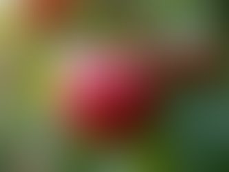 Unlocking Youthful Skin: The Amazing Benefits of Swiss Apple Stem Cells