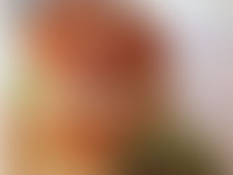 המבורגר עוף