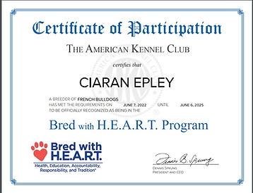 Bred with heart 2025 Frenchie.jpg