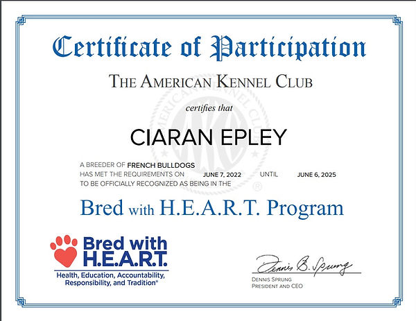 Bred with heart 2025 Frenchie.jpg