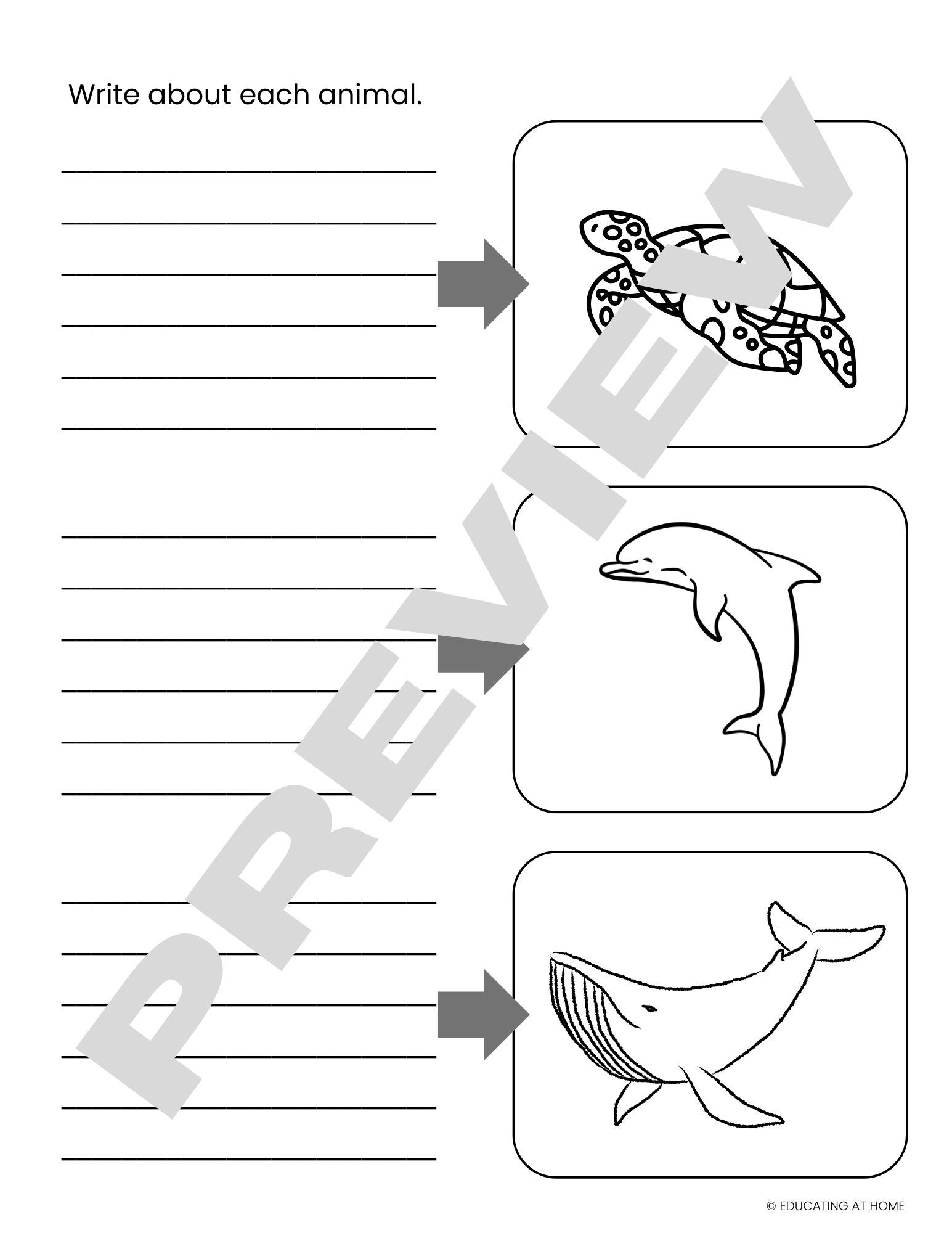 Summer Journal Lined Beach Theme