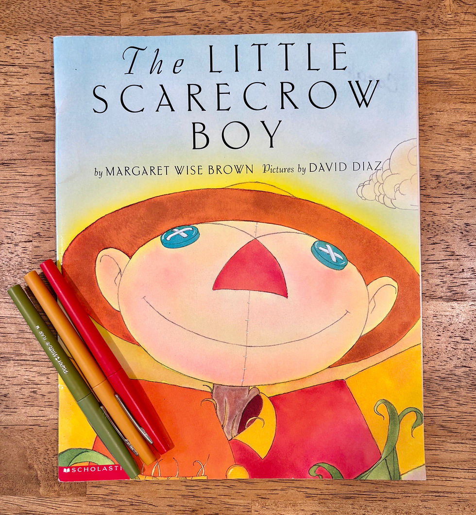 the little scarecrow boy