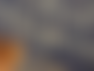 Have You Read. . . .