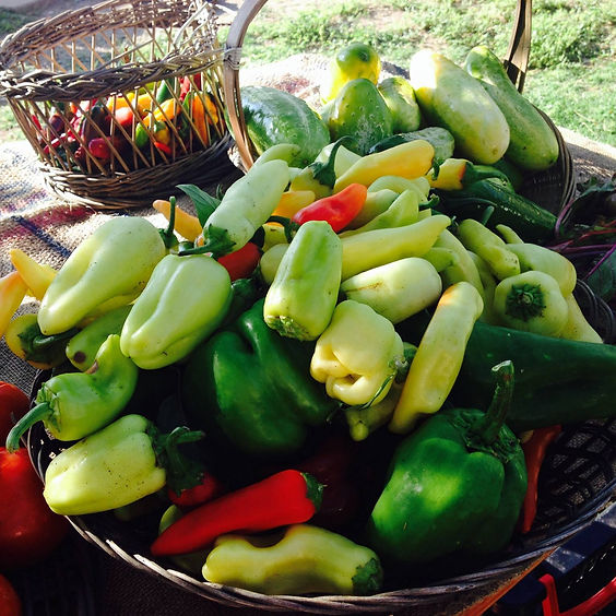 Globe-Miami Farmer's Market -- Saturdays 8:00 - 11:00 AM