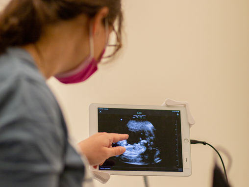 #5 - Early Prenatal Care: The Enhanced Sonogram Service