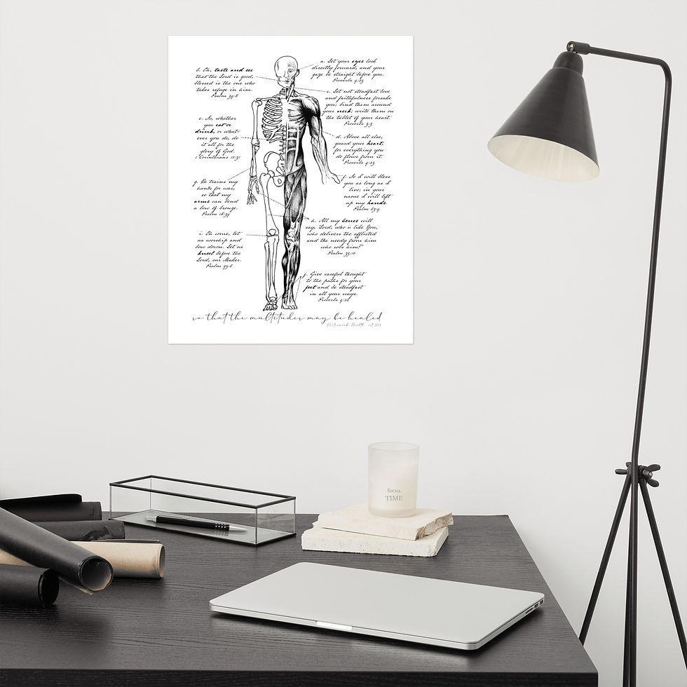 Miniatura: Biblical Anatomy  16"x20" Poster (No Frame)