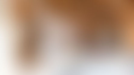 How to Plan a Custom Home Renovation: A Step-by-Step Guide