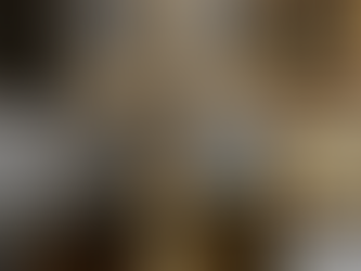 Sprankelende vooruitzichten!