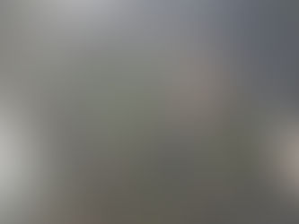 Laat me vliegen met de vogels...