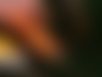 Francis, vandaag is het jouw dag!