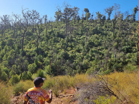 Support Noongar Country and Community Resilience