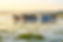 Apollon Tours Albania
