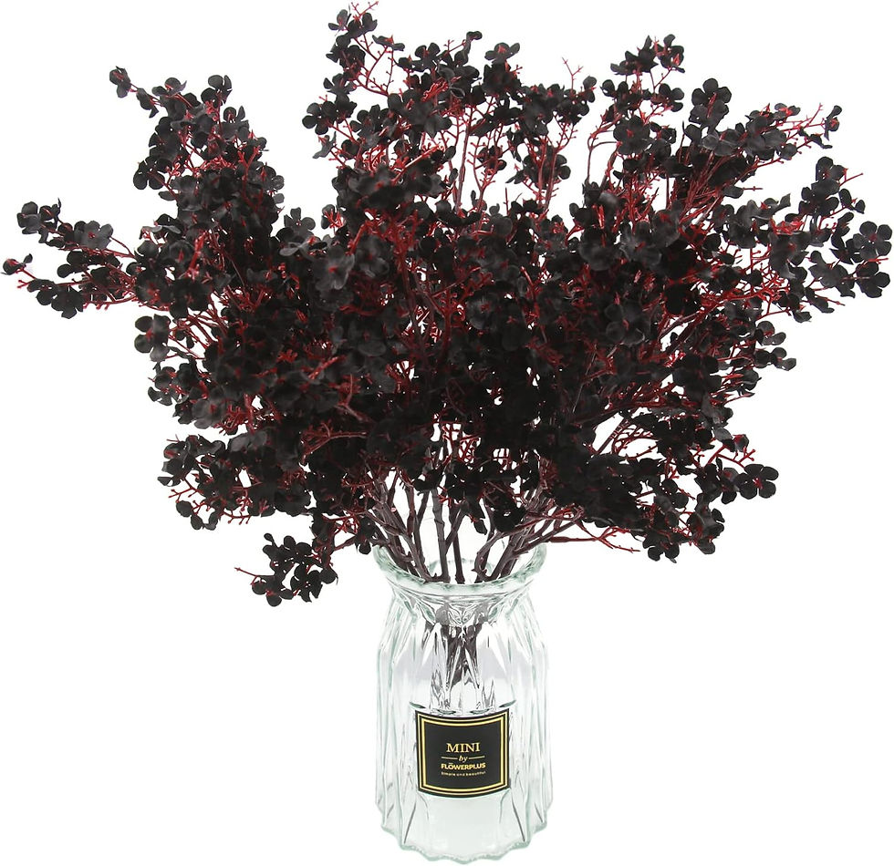 babys breath stems dark