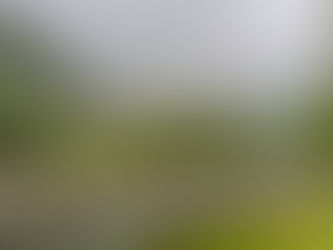 Smile away and walk with it