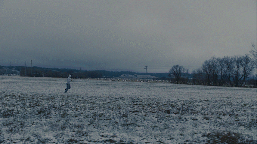 YOTR GIF v2.gif