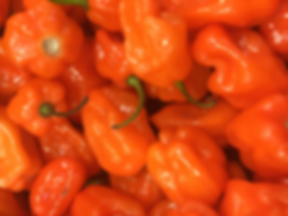 Peach Habanero Jelly