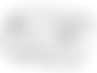 הכר את שלט הרחפן
Dji spark