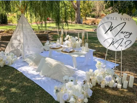 white picnic proposal