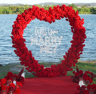 _DSC0062 copy 3_edited_edited.jpg