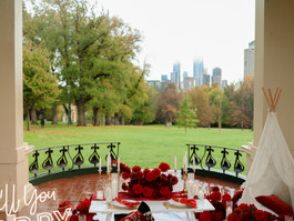 Marriage Proposal Melbourne | picnic proposal setting