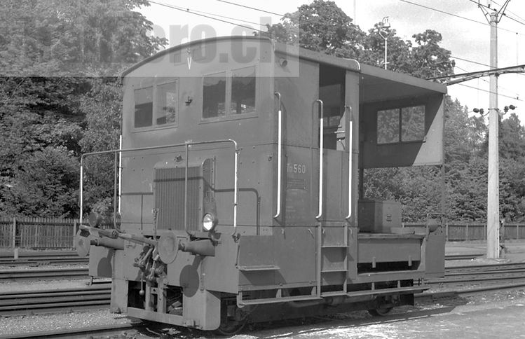 Tm0_501-001.jpg
