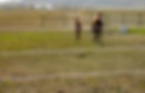 3 Wire Permanent Equine Fence