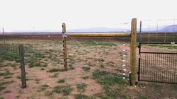 Fixed Knot - 6.5' Elk Fence