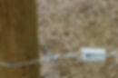 Bullnose Knot