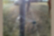 Spring Steel Wire Offsets Up Close