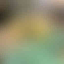 את הערב סיימנו ביודל׳ה בר (2 דק׳ הליכה), בר אוכל של קבוצת מחניודה, הממוקם ממש מול מסעדת מחניודה האהובה. מזה אומר סיימנו? המשכנו לערק ויין בקטנה (יש גם תפריט אוכל) ולעוד זמן של שאיפת האווירה הירושלמית, עם ישיבה על הבר הצופה לרחוב, רגע לפני השעות שבהן הבר הזה מתעופף באוויר. מיקום נהדר. לילה קולינרי בירושלים. JERUSALEM. הבלוג של יובי עם כל מה שיאמ, היכנסו וגלו את המסעדות שיובי הכי אהבה ושכל יום בלעדיהן הוא יום מבוזבז, בלוג ביקורת מסעדות שף מפיה של לקוחה רעבה במיוחד. Yuvi Yam.