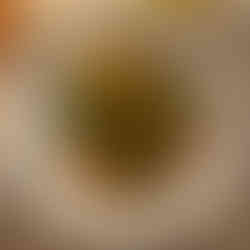 (רגע לפני שאמשיך הלאה, אם אתם מחפשים עוד המלצות לשוק הכרמל, אני יכולה לנדב בכיף את גברת קוטייאו ואת הפיתה של פנדה פיתה, שתי תחנות שחייבות ביקור. סיימנו את הסיבוב הזה גמורים, לכן חזרנו לחדר במלון כדי לצבור כוחות לערב ועל הדרך גם להתלהב מהנוף העירוני והמהמם, שחיכה לנו בחדר. את הערב התחלנו עם 3 דק׳ הליכה למסעדת רוטשילד 48 בראסרי, בהובלת השף אוהד סולומון. אכתוב עליה ביקורת בפוסט נפרד, אבל אסכם ואגיד שהיה נפלא ואני ממליצה בחום ללכת ולחוות ארוחה שכולה טוב. אפילו אצרף כמה תמונות לאלו שלא יכולים לחכות. תל אביב. TEL AVIV. הבלוג של יובי עם כל מה שיאמ, היכנסו וגלו את המסעדות שיובי הכי אהבה ושכל יום בלעדיהן הוא יום מבוזבז, בלוג ביקורת מסעדות שף מפיה של לקוחה רעבה במיוחד. Yuvi Yam.