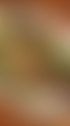 האתר של יובי עם כל מה שיאמ, היכנסו וגלו את המסעדות שיובי הכי אהבה ושכל יום בלעדיהן הוא יום מבוזבז, אתר ביקורת מסעדות שף מפיה של לקוחה רעבה במיוחד. Yuvi Yam.