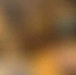 הקונספט של הפופ אפ הנוכחי הוא כזה שבכל אחד מהימים יש שני סבבים, בשעות 18:30 ו-21:15, ואפשר לבחור את המסלול המקורי ובו בשר ופירות ים, או מסלול צמחוני הכולל דגים. שניהם במחיר של 350₪ לסועד (כולל שתייה קלה). יש גם תפריט יינות של ASPIRIT שנבחר במיוחד כדי ללוות את החוויה. האווירה במקום כפרית, חורפית, אינטימית, מאוד שיקית, גם בעיצוב, גם בכלים, גם בשירות, יש קסם. כשהאוכל פשוט טעים, מדויק, מעניין, מאתגר, מרתק, כל מילה בעצם שתוכל להסביר את ההפתעה שחווינו ממנה למנה. ארז קומרובסקי. האתר של יובי עם כל מה שיאמ, היכנסו וגלו את המסעדות שיובי הכי אהבה ושכל יום בלעדיהן הוא יום מבוזבז, אתר ביקורת מסעדות שף מפיה של לקוחה רעבה במיוחד. Yuvi Yam.