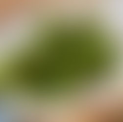 פורט סעיד | Port Said