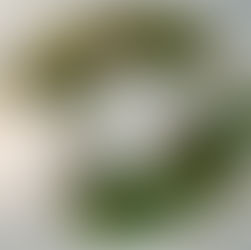 ג'ורג' וג'ון | George & John