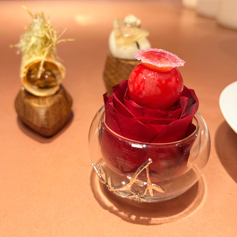 כמו תמיד בארוחות כאלה, אני אפרט לכם את מהלך הארוחה, 13 מנות כולל פתיחים, לחם וקינוחים. מדי פעם אביע תחושות, אבל אנחנו הולכים לרוץ יחסית מהר על המנות. התחלנו עם פתיחים, 4 ביסים, מרחבי העולם. פונץ׳ טולום, אגבה, גויאבה, סברס היביסקוס. פורל מקומי, עם גבינת בופור, קמומיל, אניס ו-Obulato. בהשראת ימים בהם מושיק היה יוצא לדוג האזור האלפיים הצרפתיים. טונה אדומה, מונאקה (מעין ממתק יפני מסורתי בתוכו שכבות קרם שעועית מתוקה) טופו שקדים וצנוניות. פולנטה, ניגירי, כמהין, קולורבי והולנדייז. פתיח בהשראת יועזר בר יין המיתולוגי ביפו של שאול אברון ז״ל, שהביא את מנת הפולנטה גם לישראל. עד כאן שלב הפתיחים שהיו מעולים, מגוונים, משלבים מרקמים שונים, עם טעמים קרים וחמים. ההארה היחידה שלי היא לפתיח הפורל, הייתי מקטינה מעט את הגליל כך שיהיה קרוב יותר לגודל ביס, אבל הוא היה מאוד טעים. אנד מושיק. moshik. האתר של יובי עם כל מה שיאמ, היכנסו וגלו את המסעדות שיובי הכי אהבה ושכל יום בלעדיהן הוא יום מבוזבז, אתר ביקורת מסעדות שף מפיה של לקוחה רעבה במיוחד. Yuvi Yam.