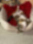 9CA07CB7-F58A-42A7-9855-D84F2C9A69D9.jpeg
