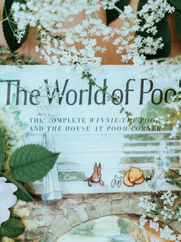 the world of pooh