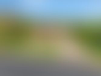 Open House Sunday 1-4