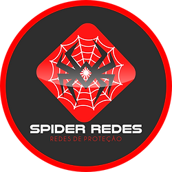 spider redes (2)_edited.png