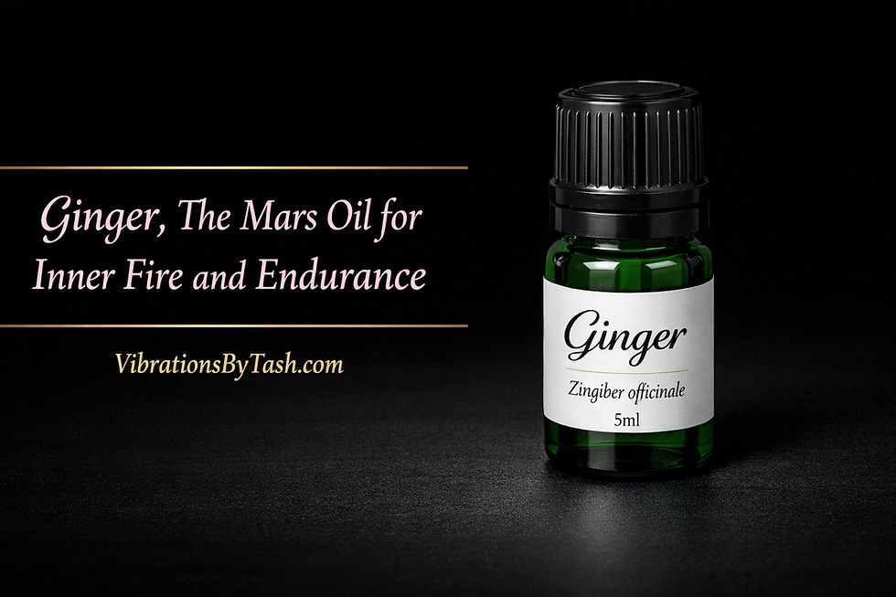 Vibrations by Tash ginger essential oil bottle on a black surface with the text Ginger The Mars Oil for Inner Fire and Endurance